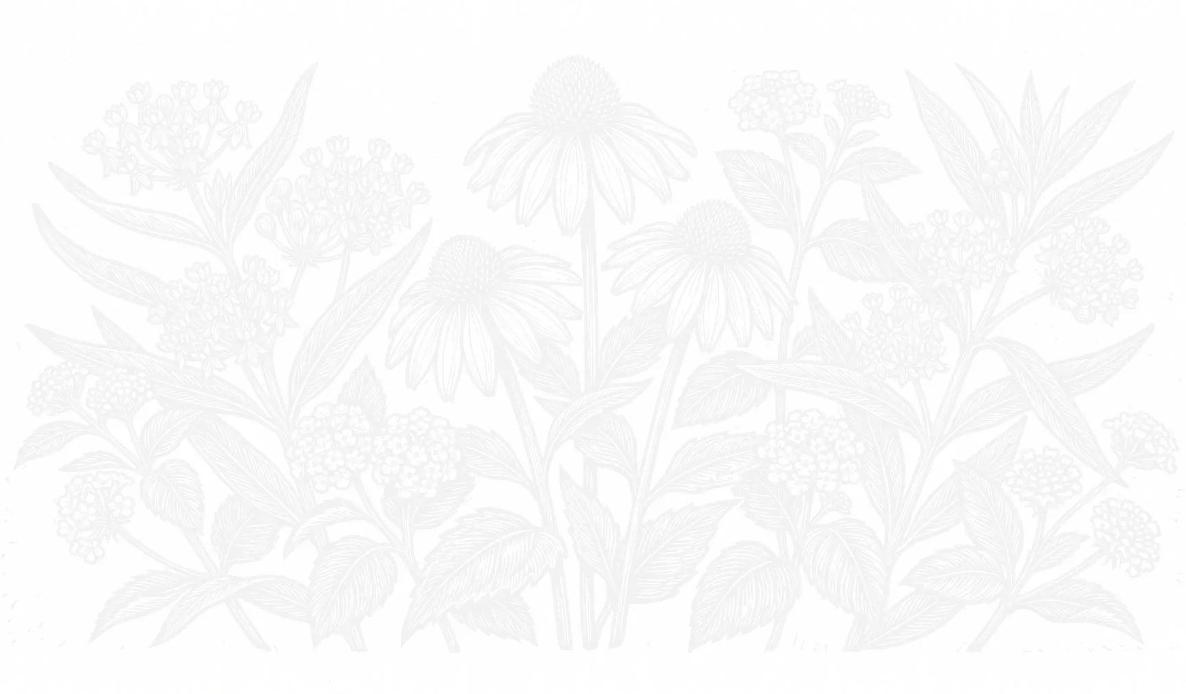 native plants